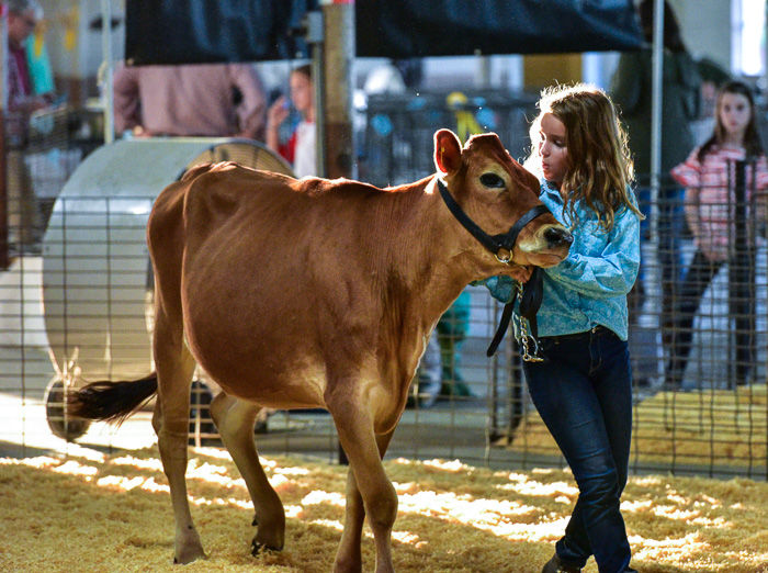 Orangeburg County Fair Dairy Show
